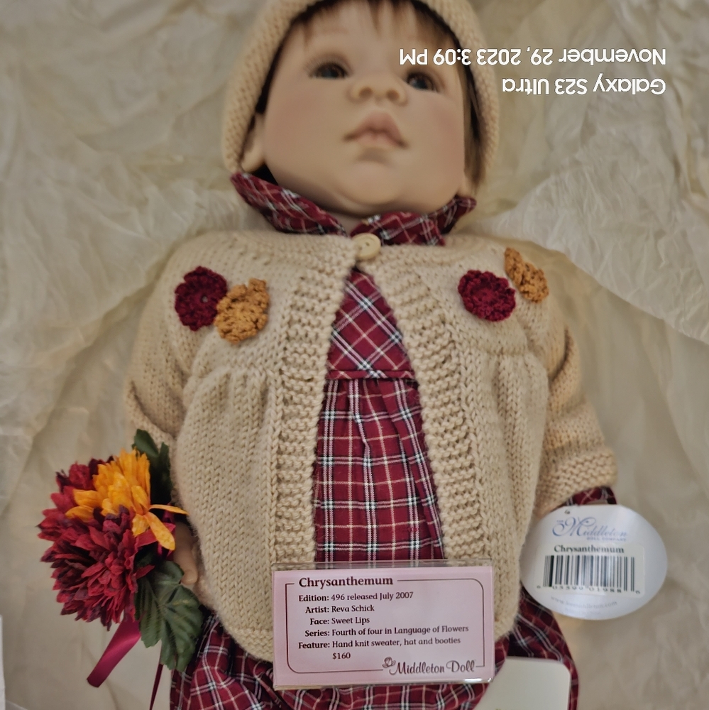 Chrysanthemum (Language of Flowers)